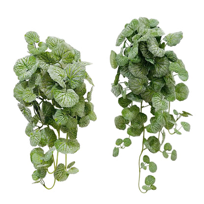 Ceropegia Artificiel