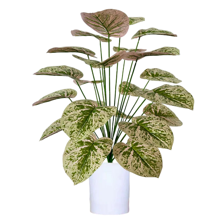 Caladium Artificiel Vert