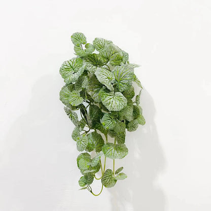 Ceropegia Artificiel