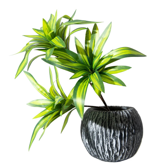 Dracaena Artificiel