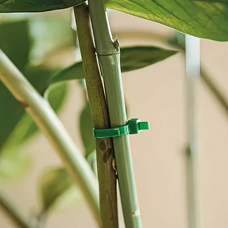 Serre-Câble pour Plantes
