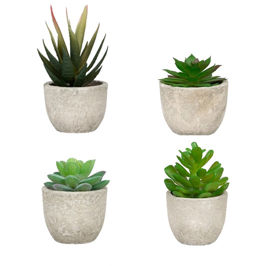 Lot de 4 plantes succulentes artificielles