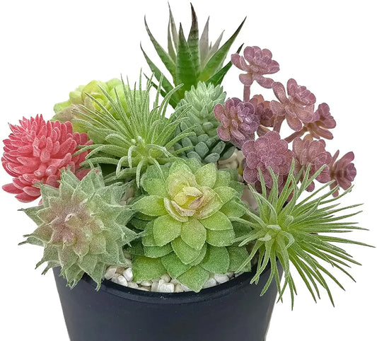 lot de 9 Succulentes Artificielles