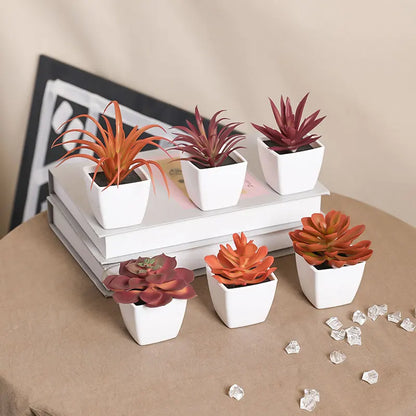 Lot de 6 Succulentes Artificielles