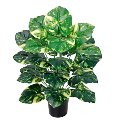 Alocasia Artificiel Verte et Blanche