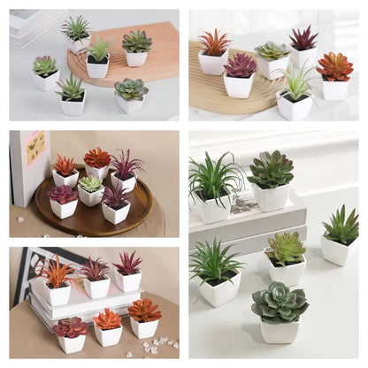 Lot de 6 Succulentes Artificielles