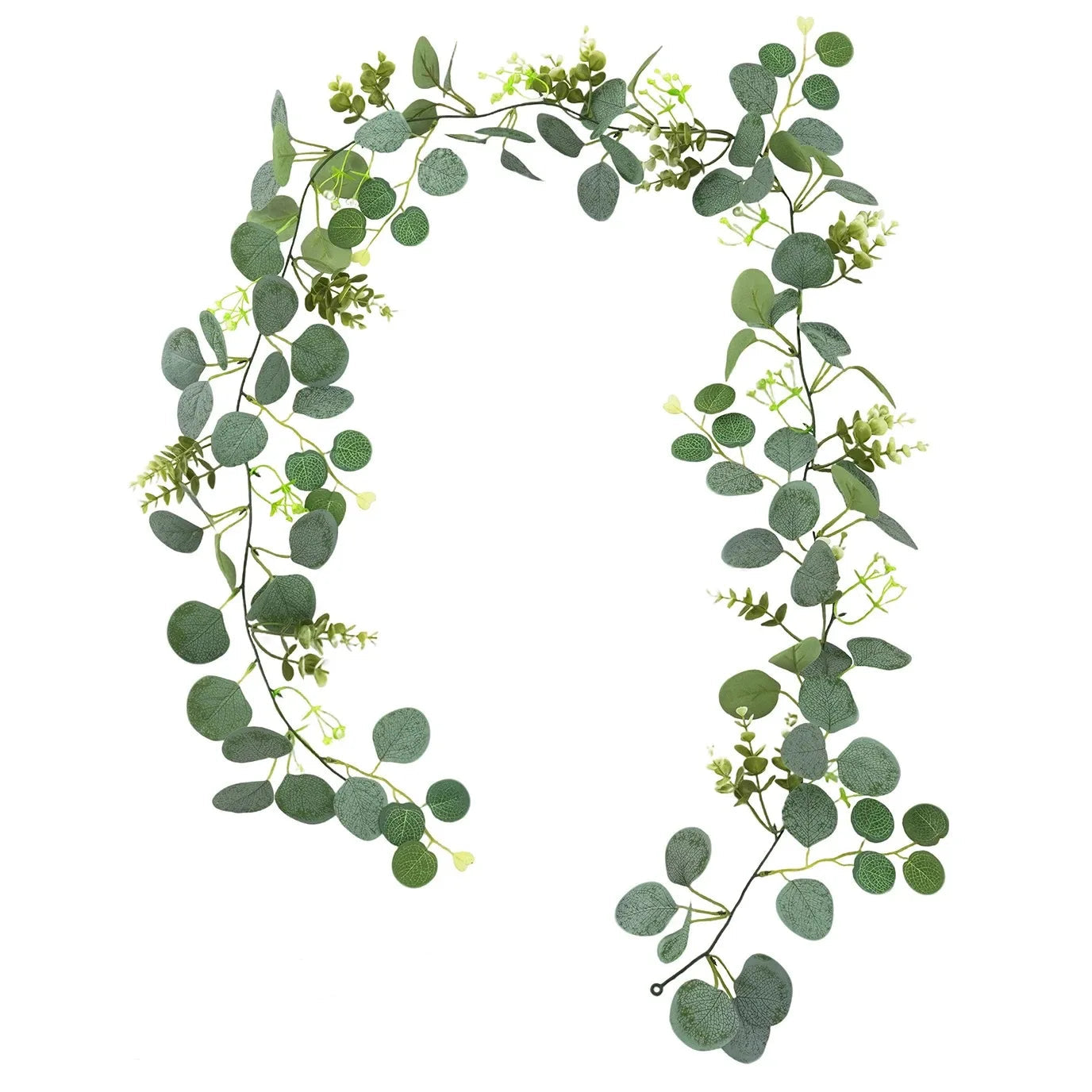 Guirlande d'Eucalyptus