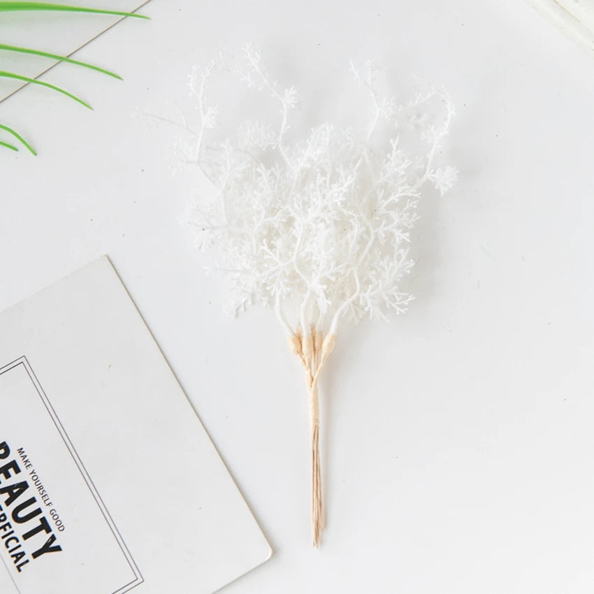 6Pcs Fleurs Séchées