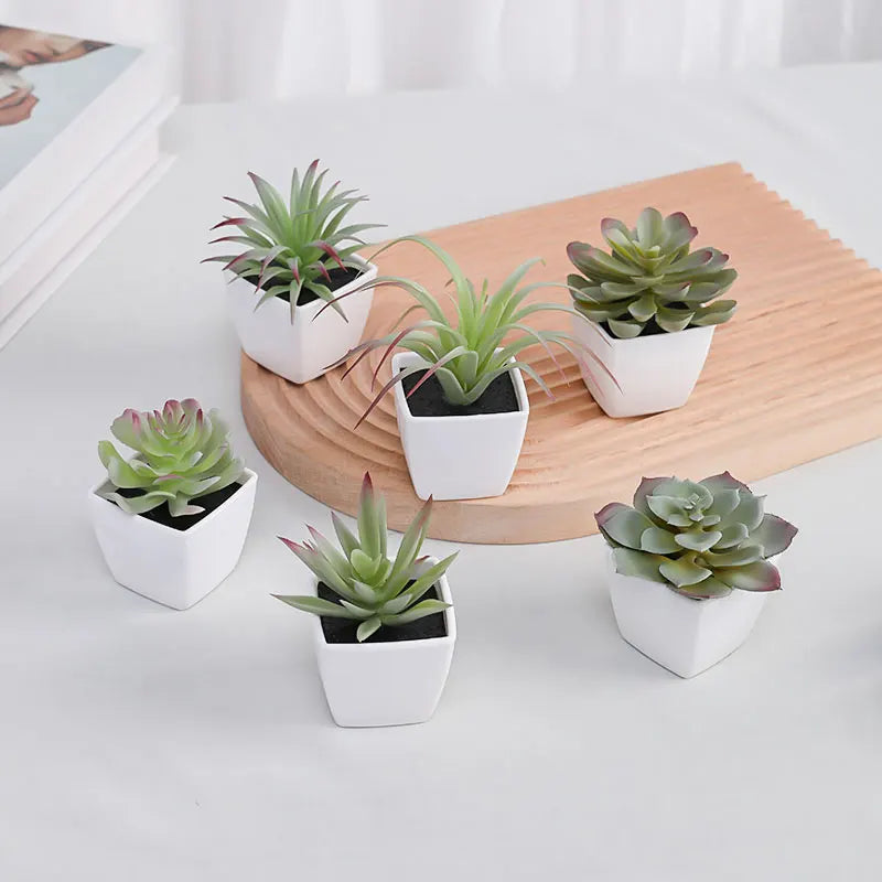 Lot de 6 Succulentes Artificielles