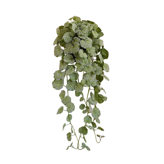 Dichondra Artificiel