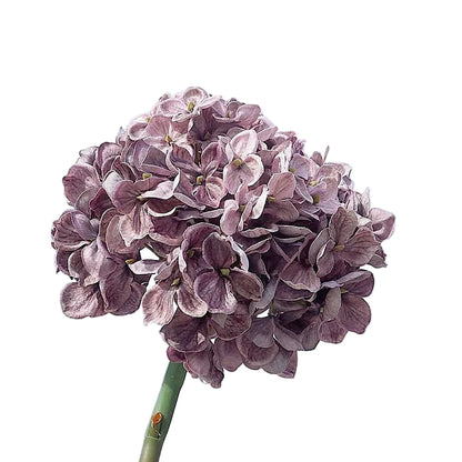 Hortensia Artificielle Automnales
