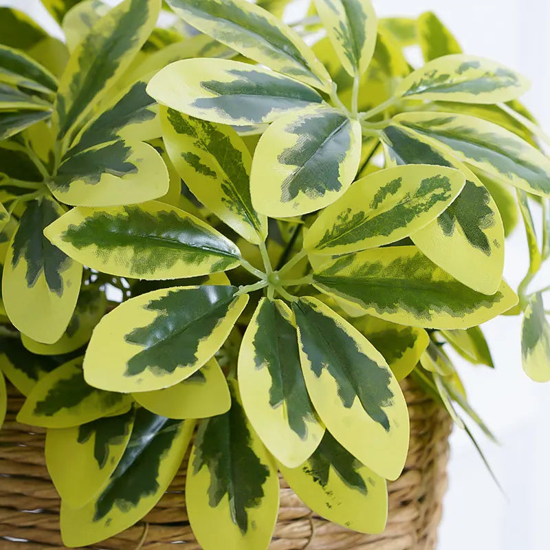 Schefflera Artificiel Clair