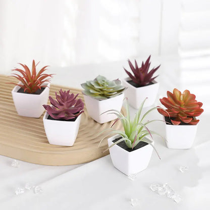 Lot de 6 Succulentes Artificielles