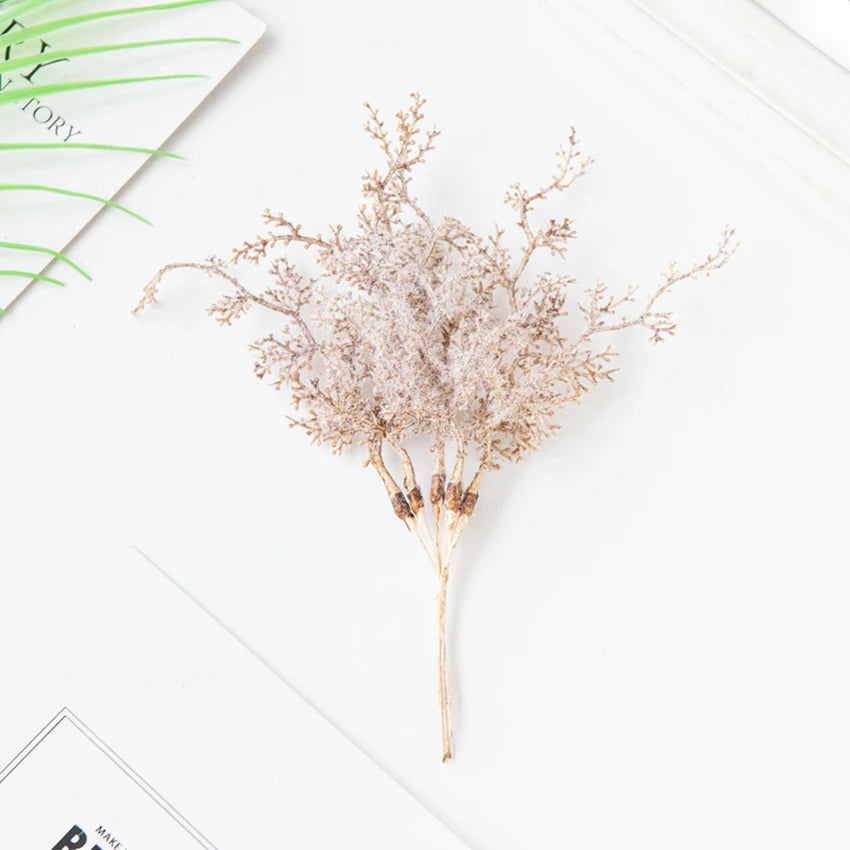 6Pcs Fleurs Séchées