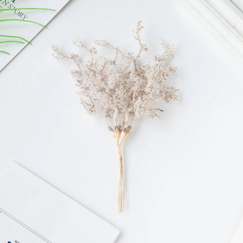 6Pcs Fleurs Séchées