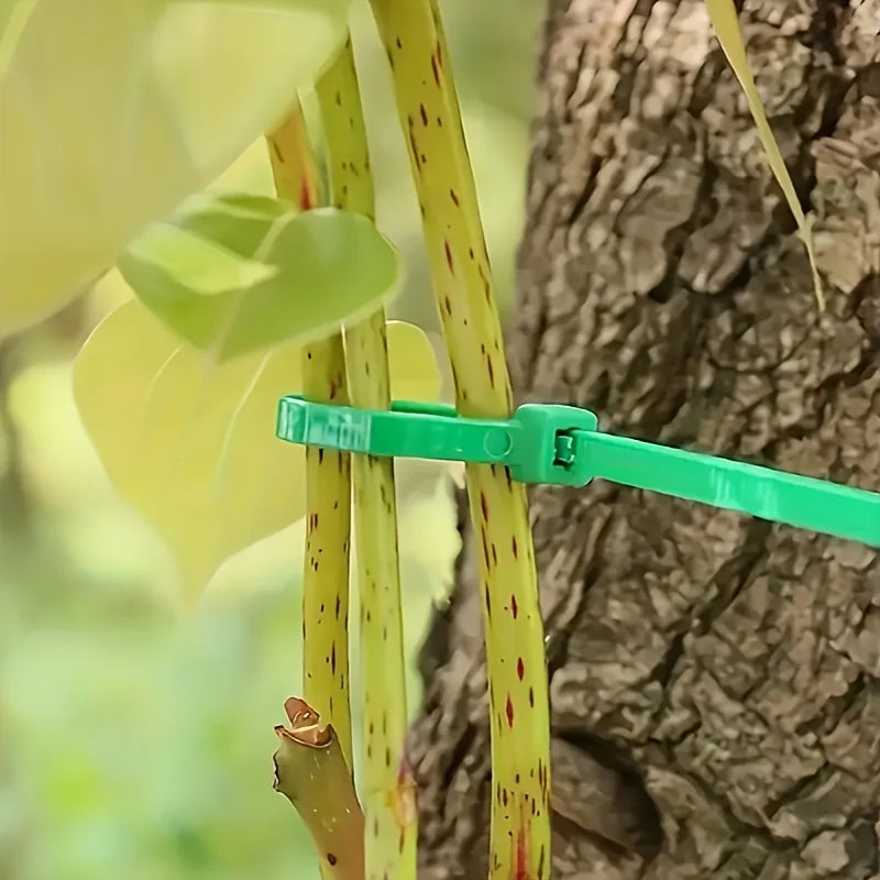 Serre-Câble pour Plantes