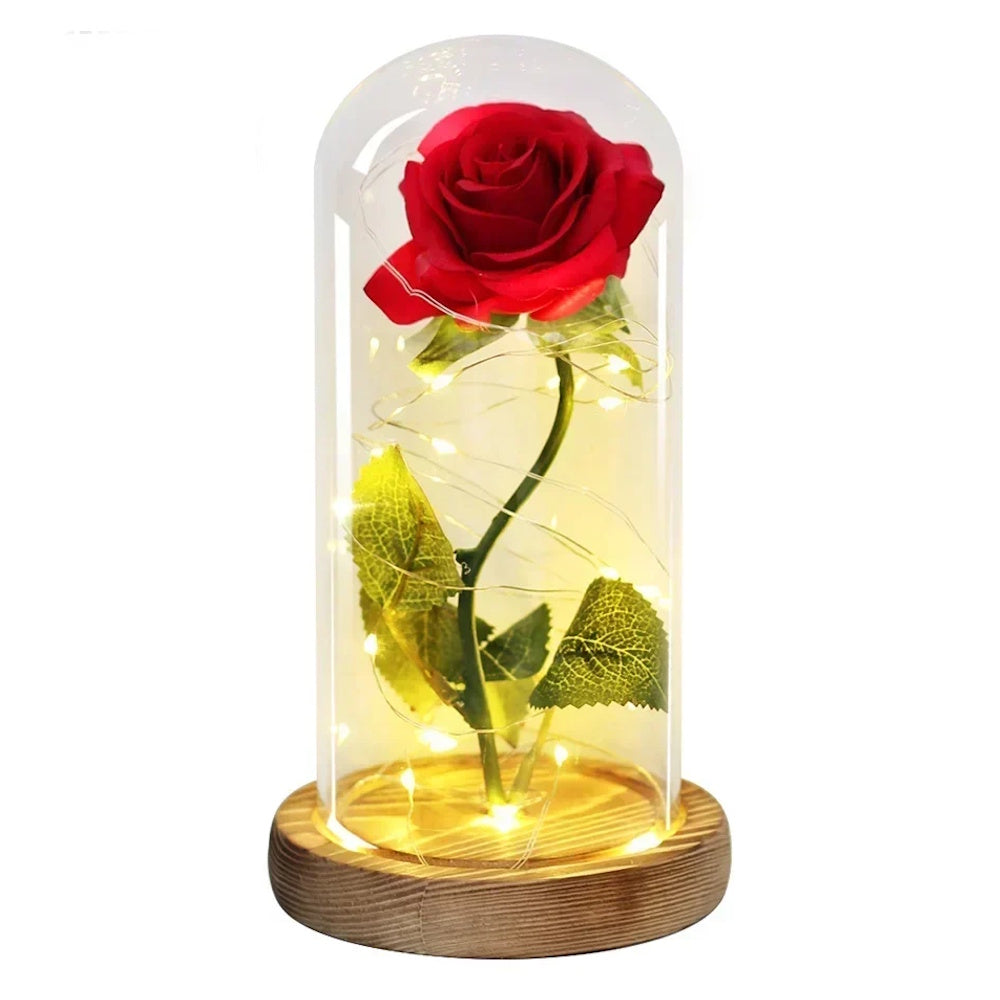 Rose Éternelle sous Cloche