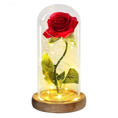 Rose Éternelle sous Cloche