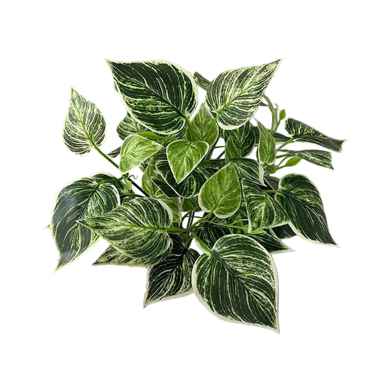 Philodendron Birkin Artificiel Blanc