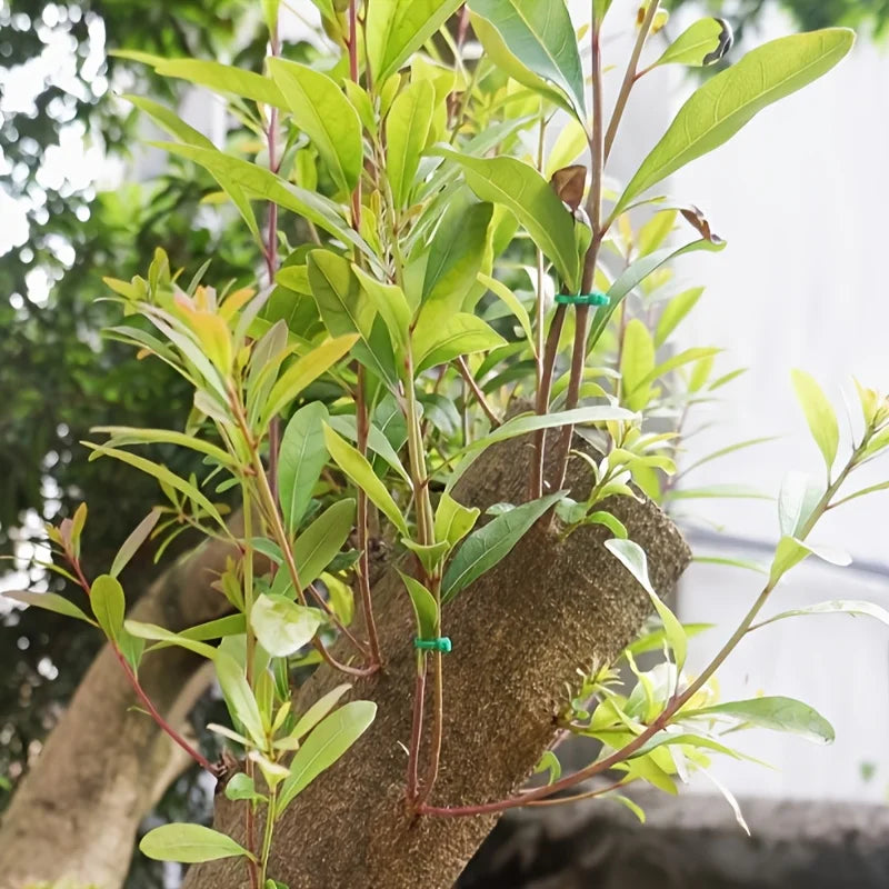Serre-Câble pour Plantes