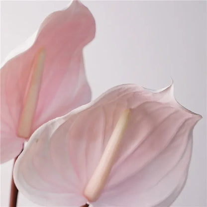 Anthurium Artificiel | Artiflora
