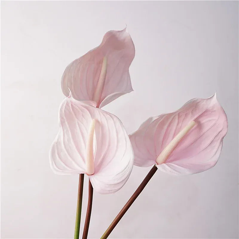 Anthurium Artificiel | Artiflora