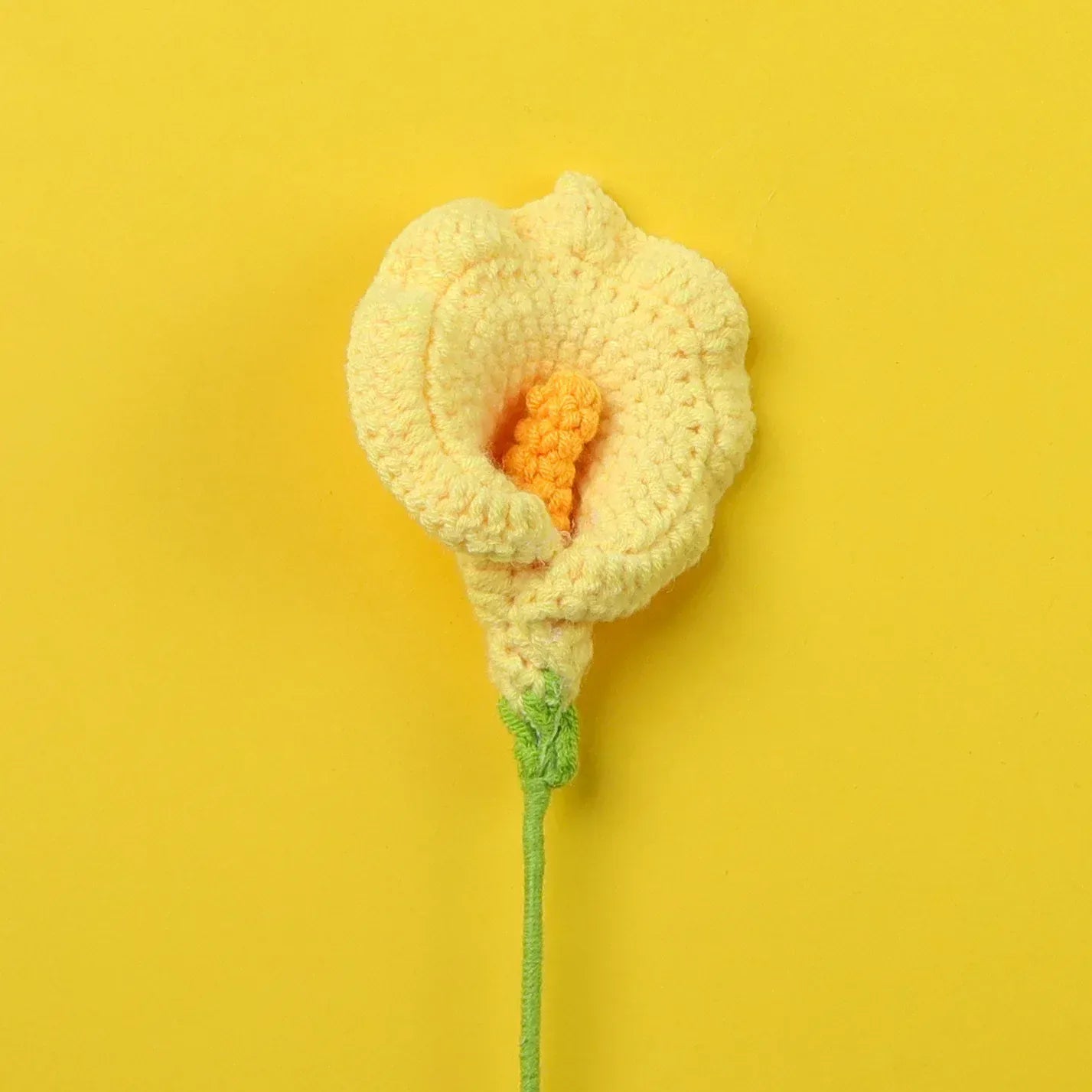 Arum Tricoté | Artiflora Jaune