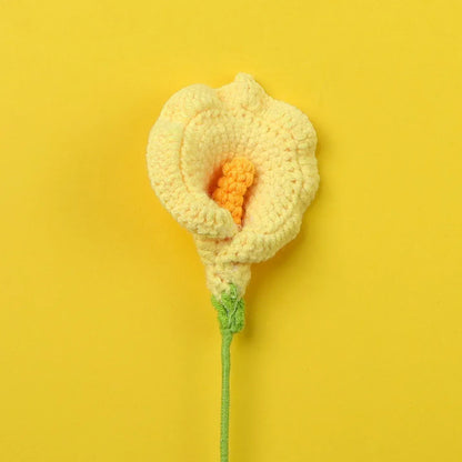 Arum Tricoté | Artiflora Jaune