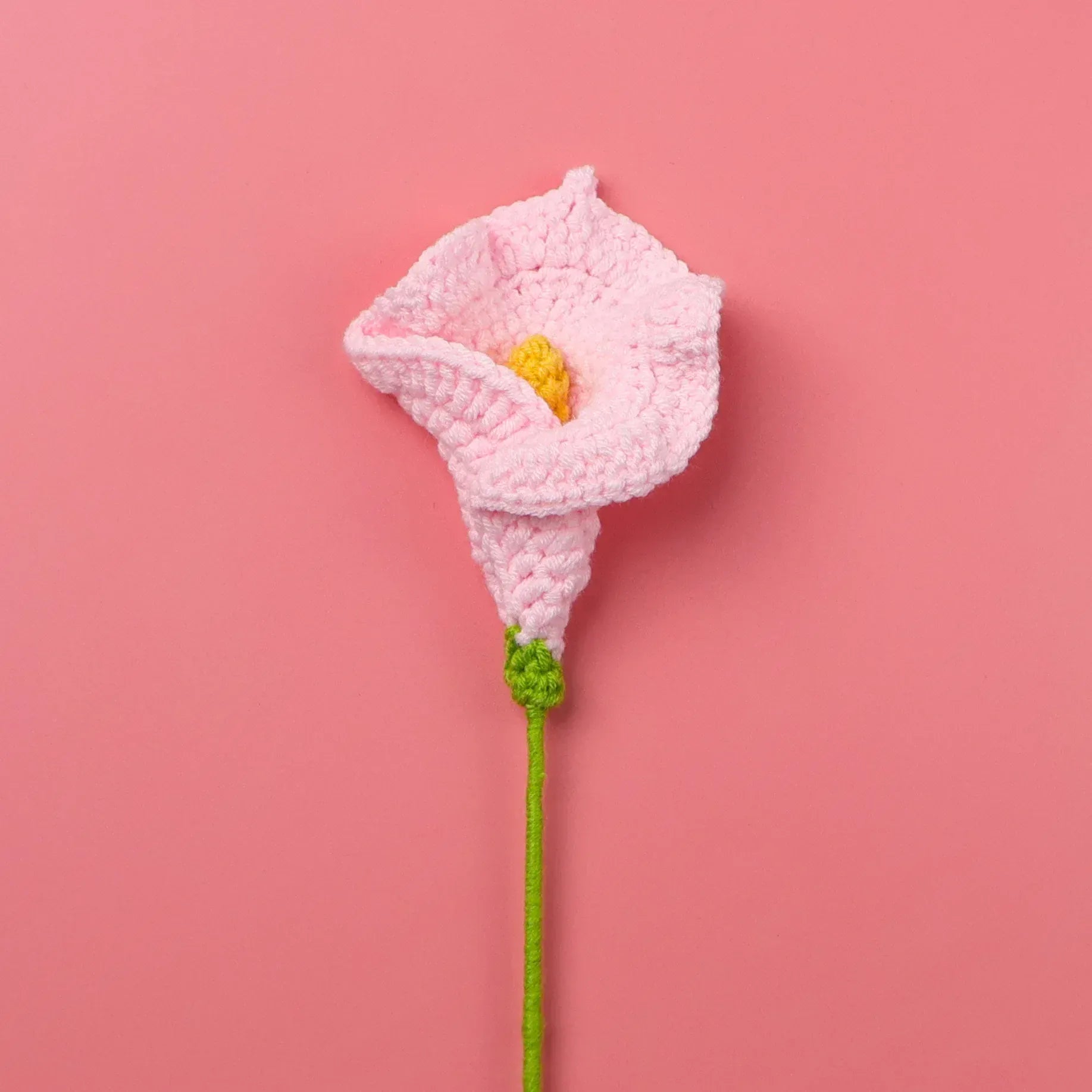 Arum Tricoté | Artiflora Rose