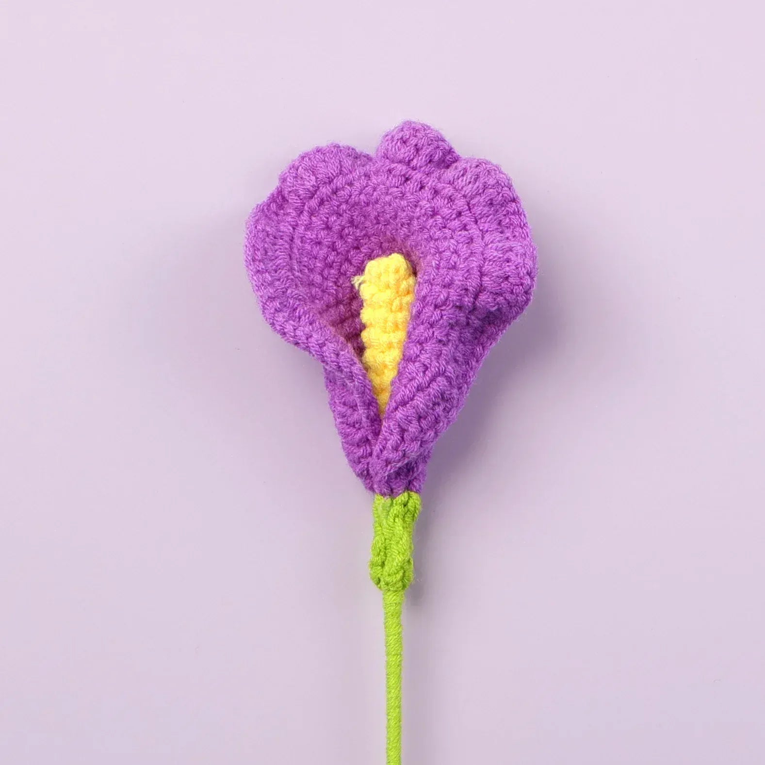Arum Tricoté | Artiflora Violet