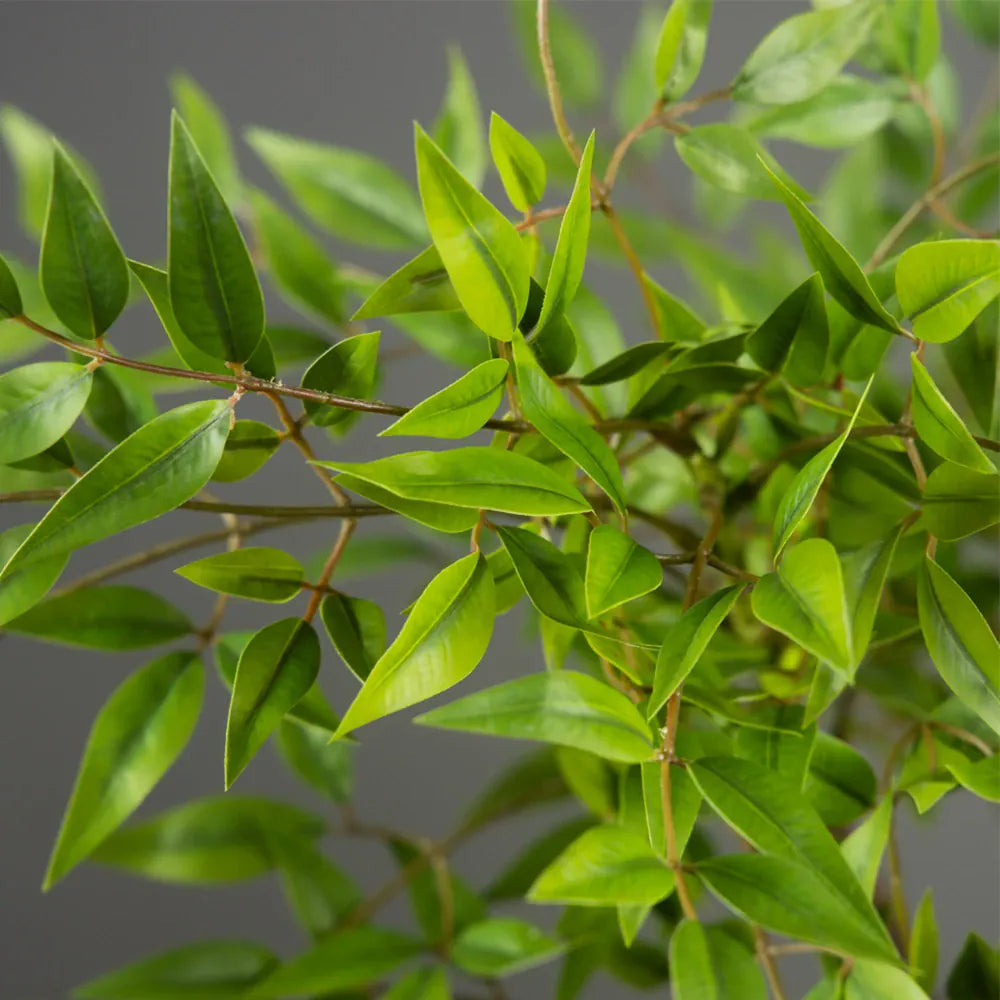 Bambou Artificiel | Artiflora