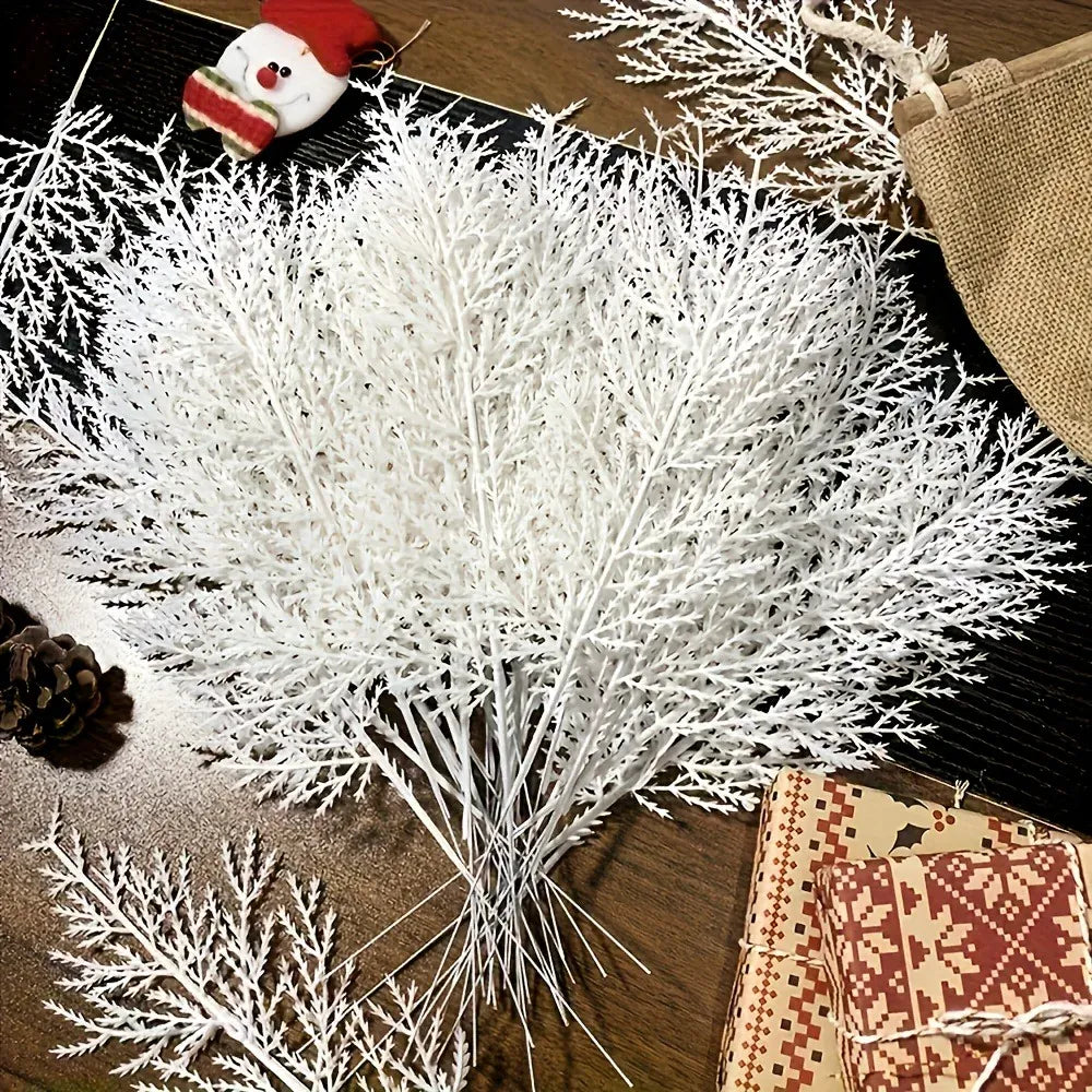 Branches de Pin