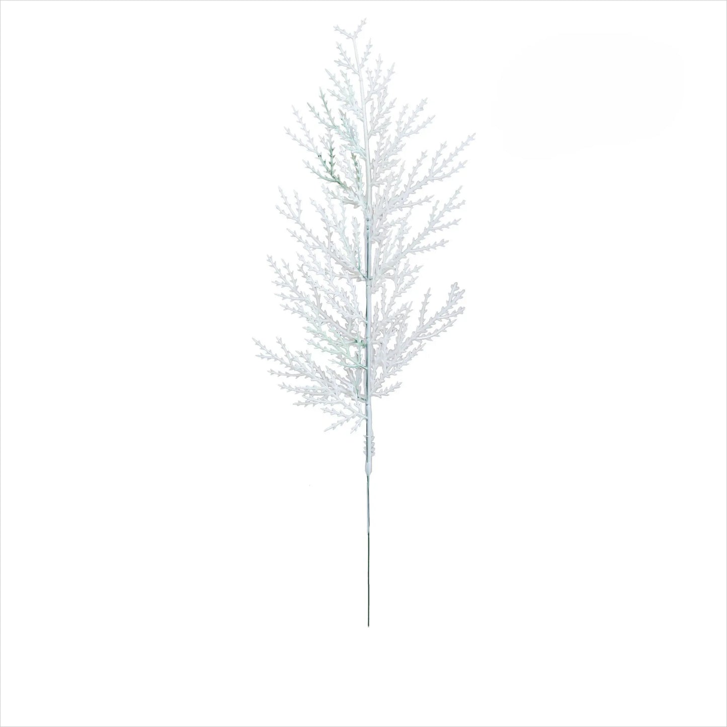 Branches de Pin Blanc / 10 pcs