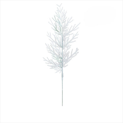 Branches de Pin Blanc / 10 pcs