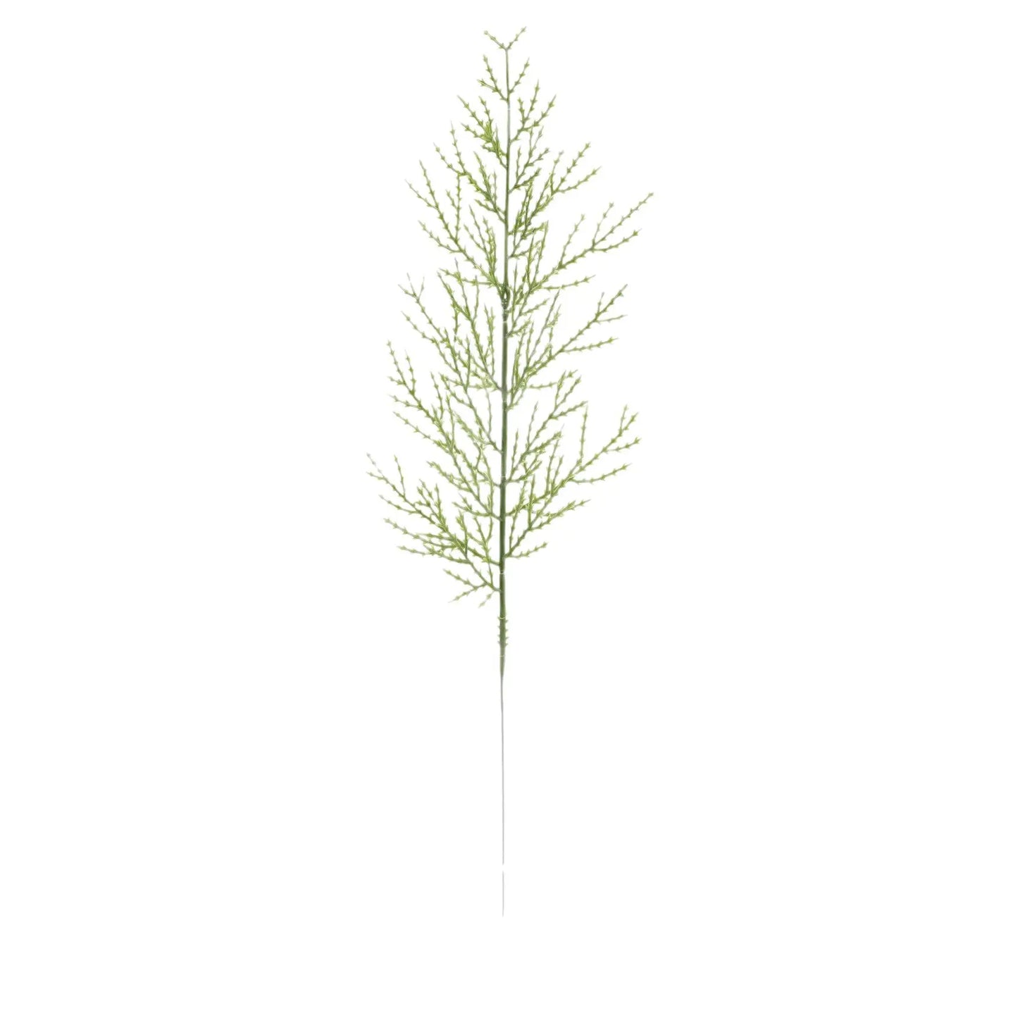 Branches de Pin Vert / 10 pcs