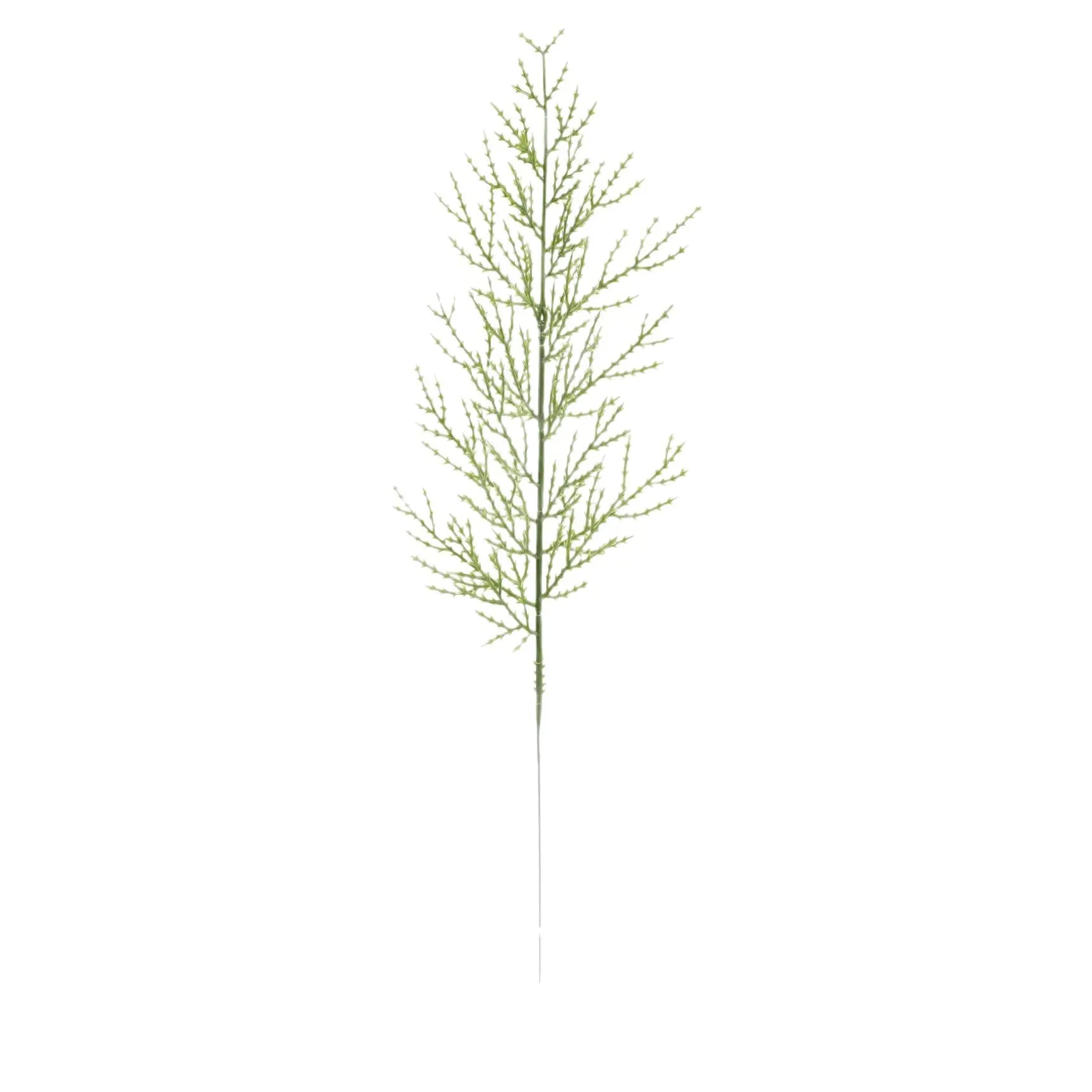 Branches de Pin Vert / 10 pcs