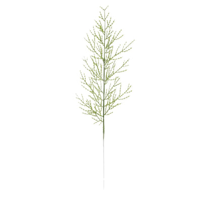 Branches de Pin Vert / 10 pcs