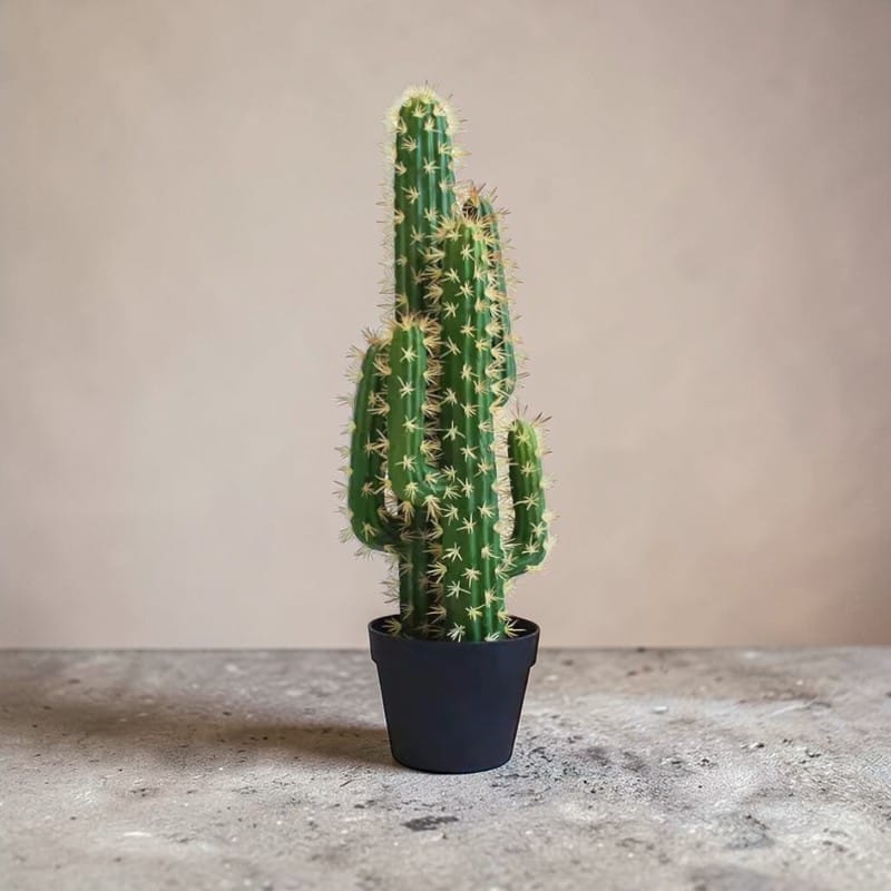 Catus Cierges Artificiel | Artiflora