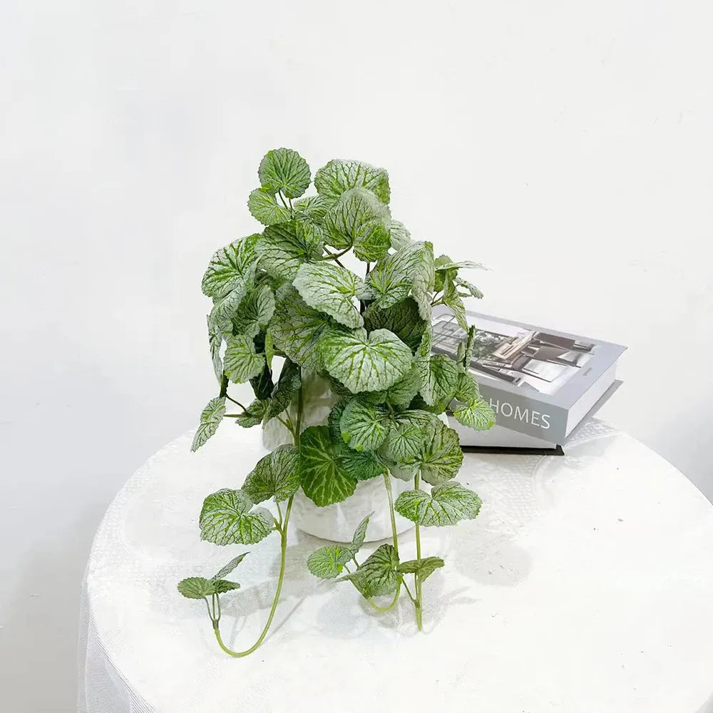 Ceropegia Artificiel | Artiflora