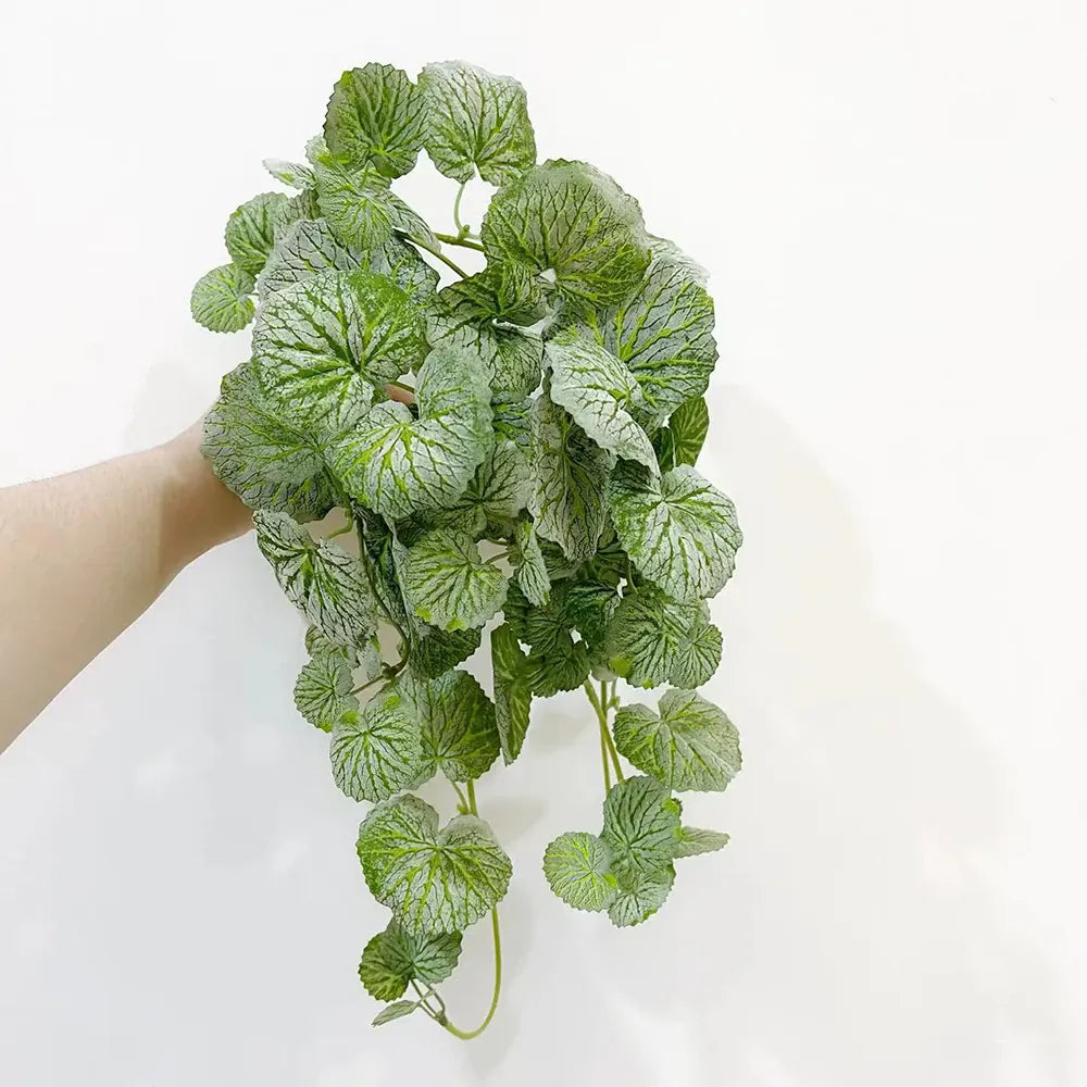 Ceropegia Artificiel | Artiflora