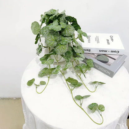 Ceropegia Artificiel | Artiflora