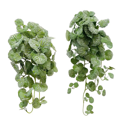 Ceropegia Artificiel | Artiflora