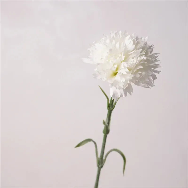 Cœillets artificiels | Artiflora Blanc / 10