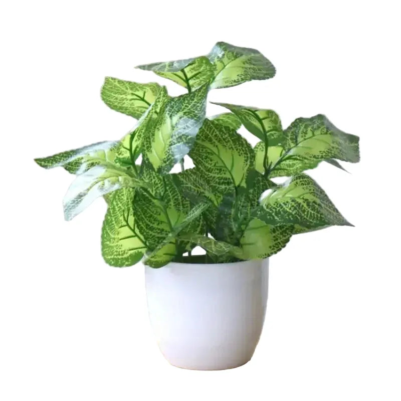 Dieffenbachia Artificielle | Artiflora Vert