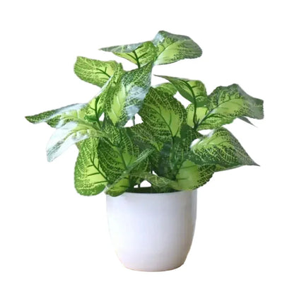 Dieffenbachia Artificielle | Artiflora Vert
