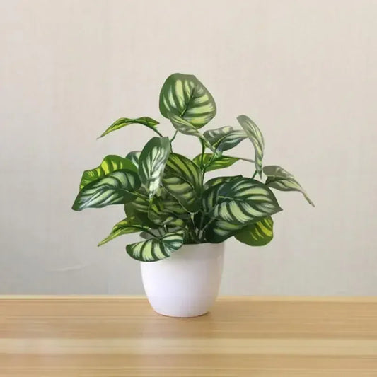 Dieffenbachia Artificielle | Artiflora Vert/Blanc