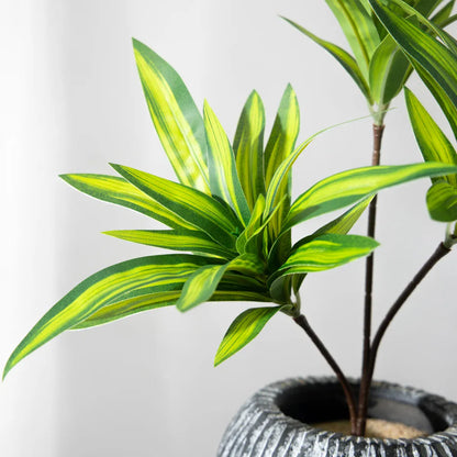 Dracaena Artificiel | Artiflora