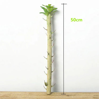 Euphorbia Cactus Artificiel | Artiflora