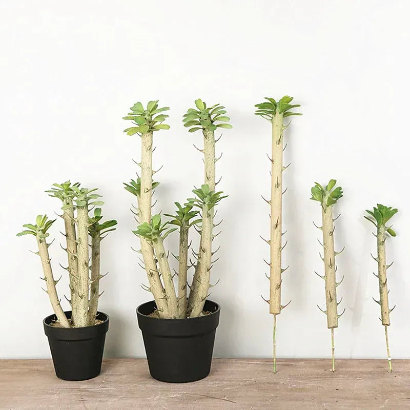 Euphorbia Cactus Artificiel | Artiflora