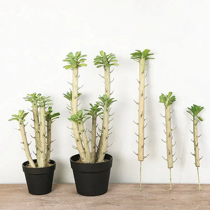 Euphorbia Cactus Artificiel | Artiflora